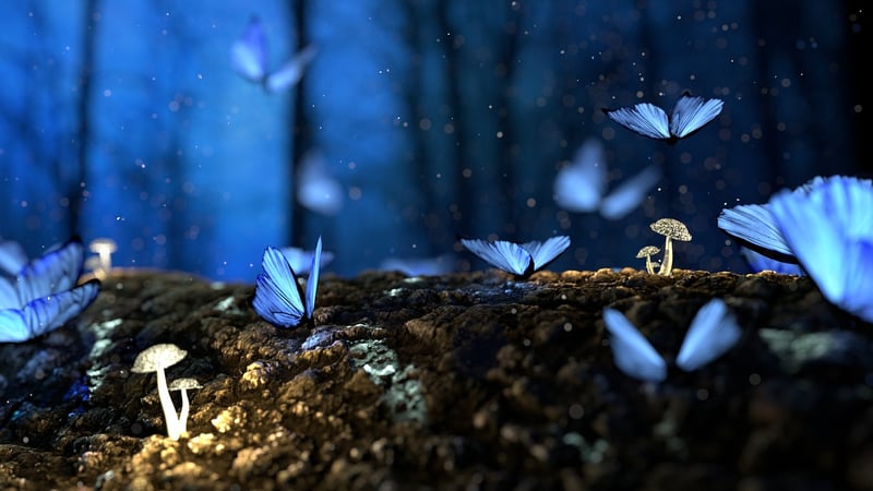 Enchanted Roads
