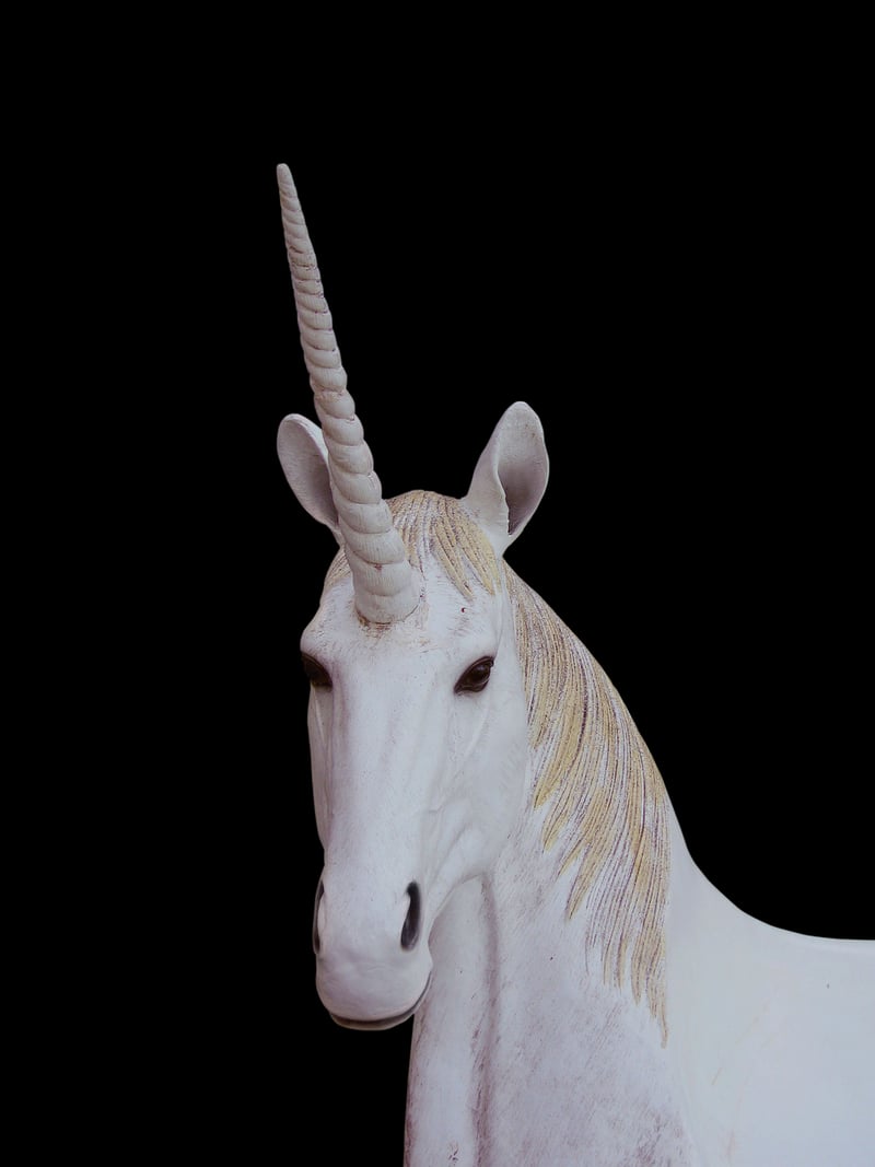 Unicorn Statue in Garden